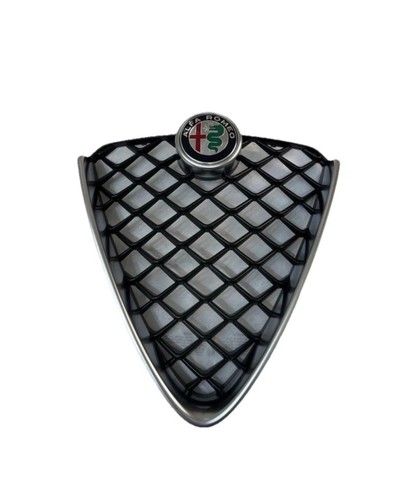 Scudo mascherina griglia nuova - scudo,
